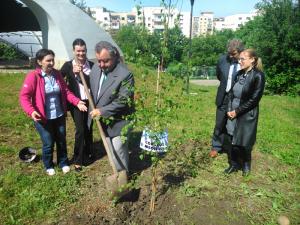 imagine-articol0_45266