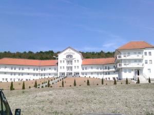 imagine-articol0_45354