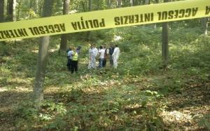 imagine-articol0_45368