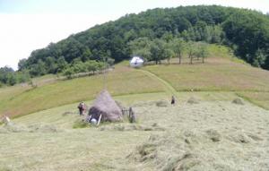 imagine-articol0_45376