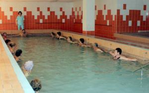 imagine-articol0_45454