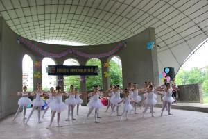 imagine-articol0_45481