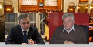 imagine-articol0_45551