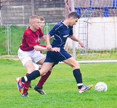 imagine-articol0_45590