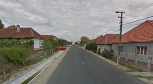 imagine-articol0_45600