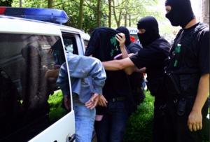 imagine-articol0_45611