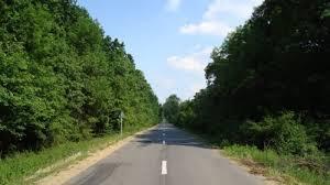 imagine-articol0_45694