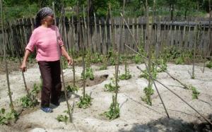 imagine-articol0_45697