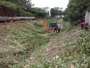 imagine-articol0_45781