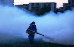 imagine-articol0_45815