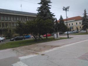 imagine-articol0_45833