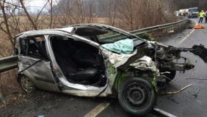 imagine-articol0_45852