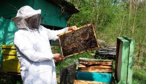 imagine-articol0_45858