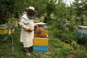 imagine-articol0_45897