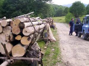 imagine-articol0_45928