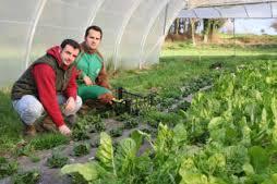 imagine-articol0_45947