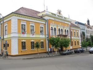 imagine-articol0_45962