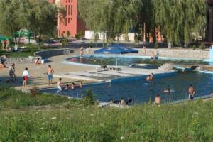 imagine-articol0_46005