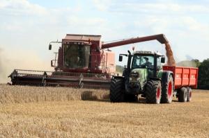 imagine-articol0_46012