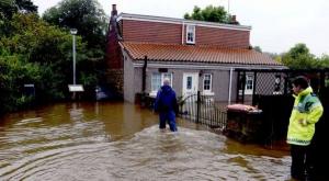 imagine-articol0_46030