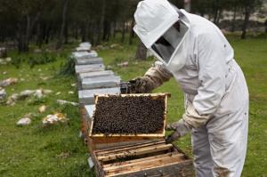 imagine-articol0_46081