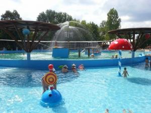 imagine-articol0_46159