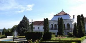 imagine-articol0_46160