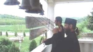 imagine-articol0_46169