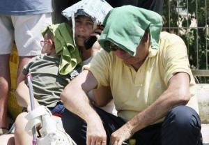 imagine-articol0_46186