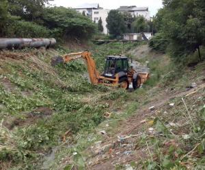 imagine-articol0_46195