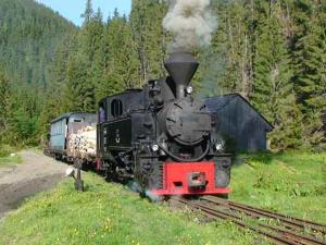 imagine-articol0_46202