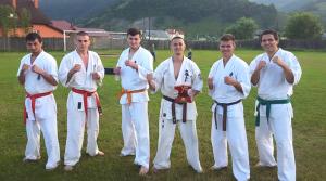 imagine-articol0_46212