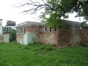 imagine-articol0_46262