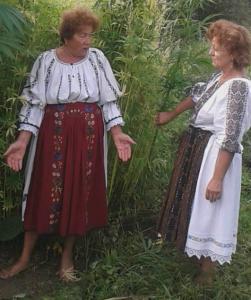 imagine-articol0_46284