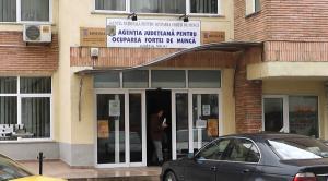 imagine-articol0_46290