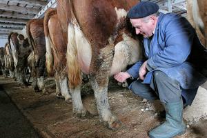 imagine-articol0_46304