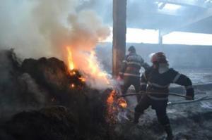 imagine-articol0_46399