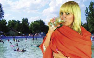 imagine-articol0_46423