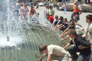 imagine-articol0_46442