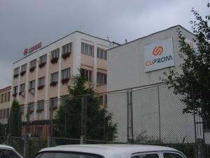 imagine-articol0_46444