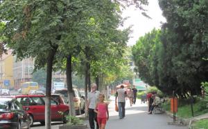 imagine-articol0_46510