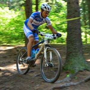 imagine-articol0_46523