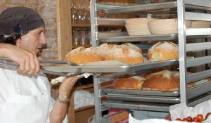 imagine-articol0_46547