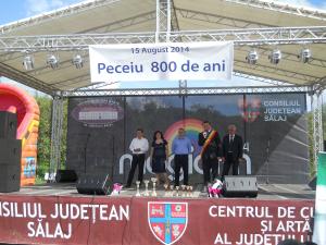 imagine-articol0_46576