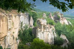 imagine-articol0_46578