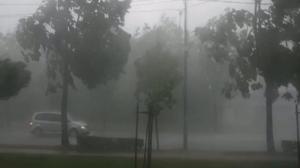 imagine-articol0_46594