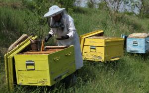 imagine-articol0_46601