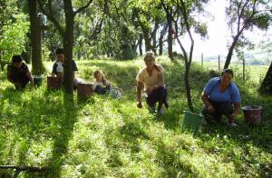 imagine-articol0_46621