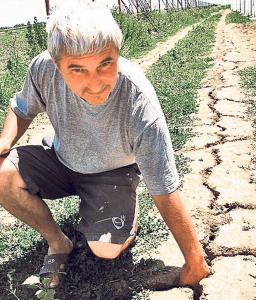 imagine-articol0_46624