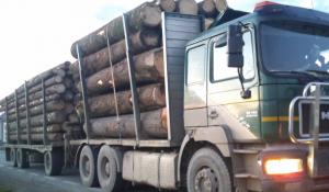 imagine-articol0_46635